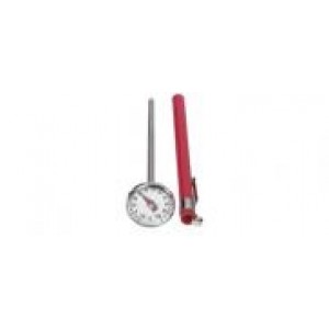 Insertion thermometer